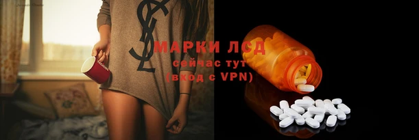 молекула духа Алзамай