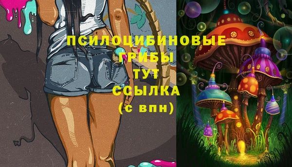 дмт Алексеевка