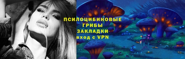 молекула духа Алзамай