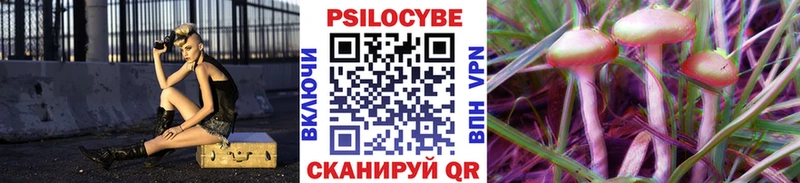 Псилоцибиновые грибы Psilocybine cubensis  Чебаркуль 